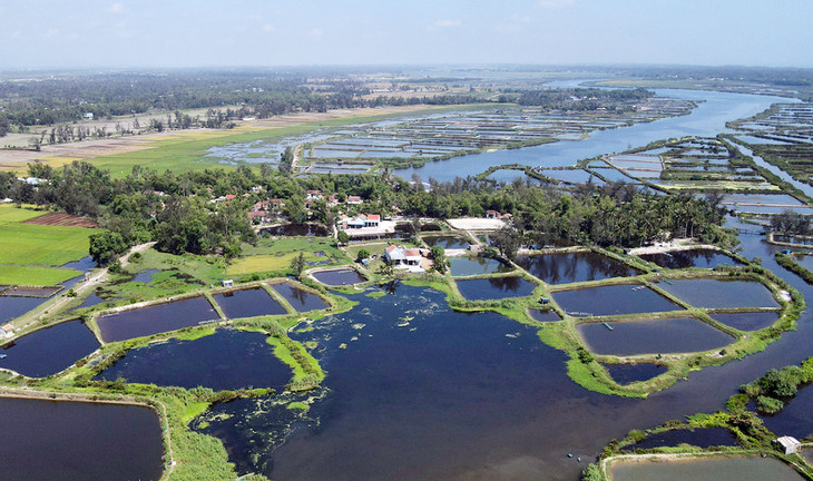Sông Trường Giang qua xã Bình Nam, huyện Thăng Bình bị xây dựng nhà ở, hồ nuôi tôm khiến lòng sông thu hẹp, chỉ còn khoảng 10 m Sông Trường Giang qua xã Bình Nam, huyện Thăng Bình bị xây dựng nhà ở, hồ nuôi tôm khiến lòng sông thu hẹp, chỉ còn khoảng 10 m