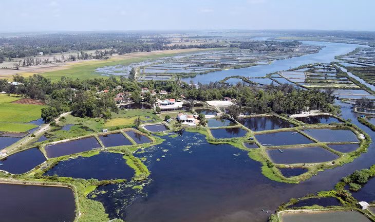 Sông Trường Giang qua xã Bình Nam, huyện Thăng Bình bị xây dựng nhà ở, hồ nuôi tôm khiến lòng sông thu hẹp, chỉ còn khoảng 10 m