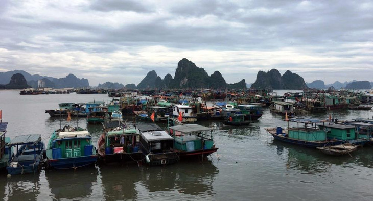 Tàu cá neo đậu tại Cảng Cái Rồng sáng 2/7