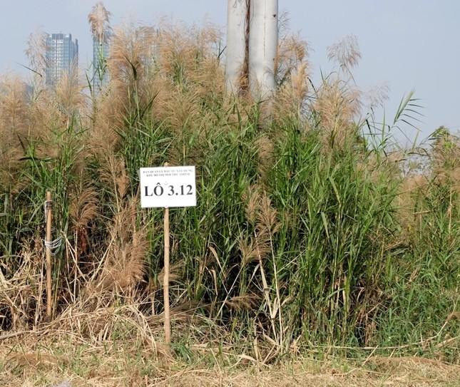 Cả 4 doanh nghiệp trúng đấu giá đất Thủ Thiêm đều bỏ cọc, không thực hiện dự án.