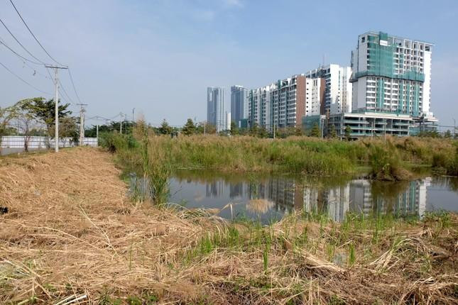 TPHCM sẽ có chỉ đạo cụ thể về đánh giá và rút kinh nghiệm lại đợt đấu giá vừa rồi để tổ chức tiếp tục đợt đấu giá tiếp theo.