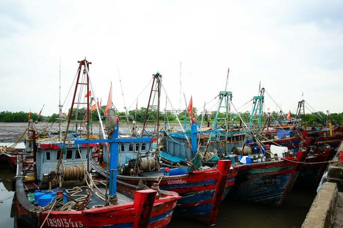 Hàng loạt tàu cá nằm bờ vì giá dầu tăng cao Hàng loạt tàu cá nằm bờ vì giá dầu tăng cao