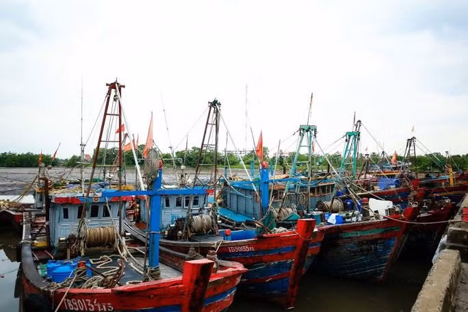 Hàng loạt tàu cá nằm bờ vì giá dầu tăng cao