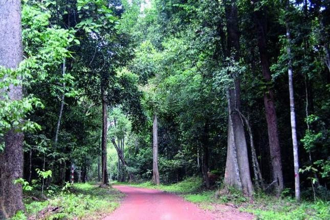 Khu dự trữ sinh quyển thế giới Đồng Nai