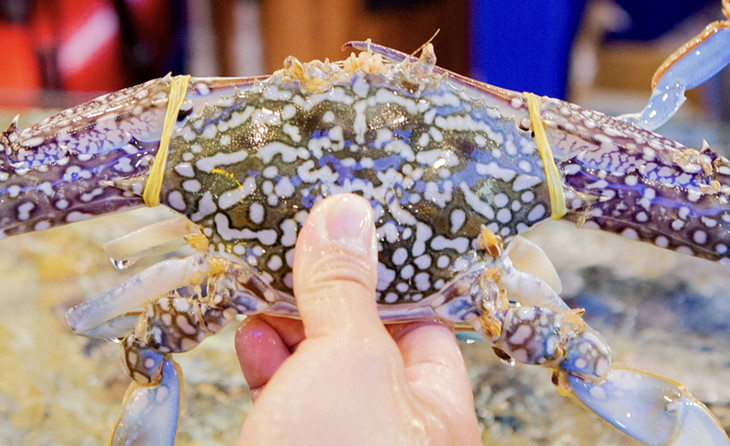 Ghẹ xanh được bán tại cửa hàng hải sản TP.HCM