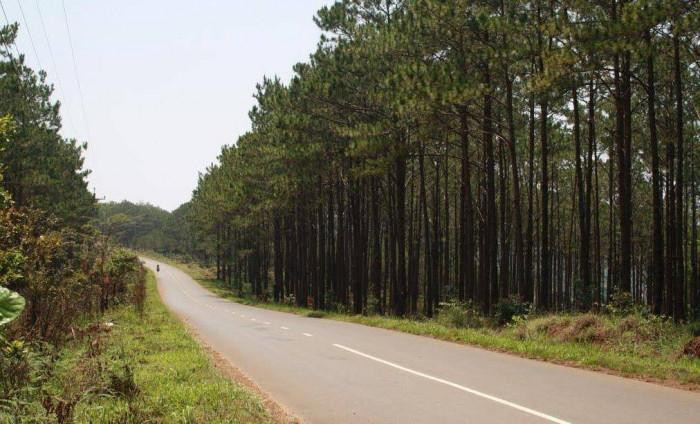 Một đoạn tuyến Quốc lộ 28 qua tỉnh Lâm Đồng