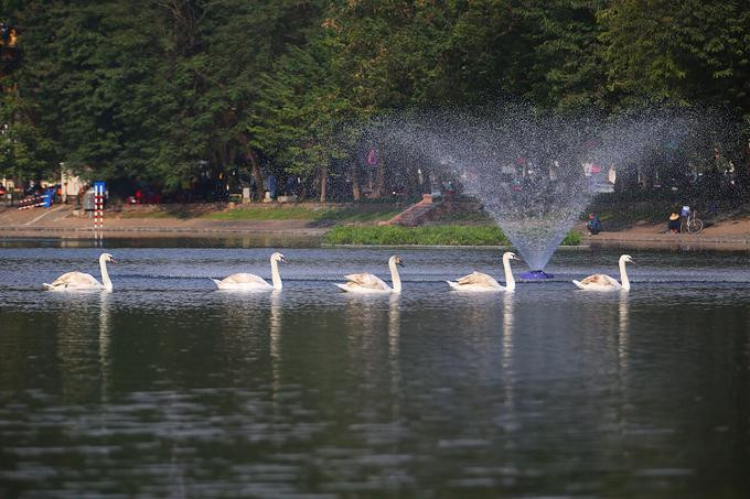 Hồ Thiền Quang, quận Hai Bà Trưng, Hà Nội