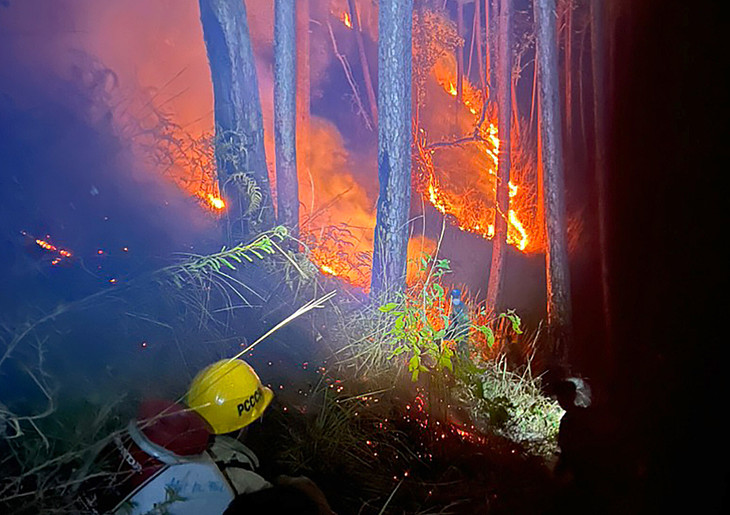 Lực lượng khống chế đám cháy