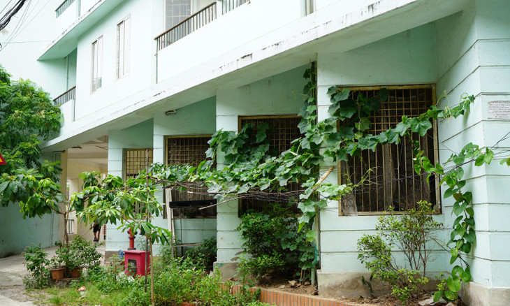 Người dân nơi đây tận dụng bãi đất trống dưới chân tòa nhà để trồng rau, dựng giàn mướp...