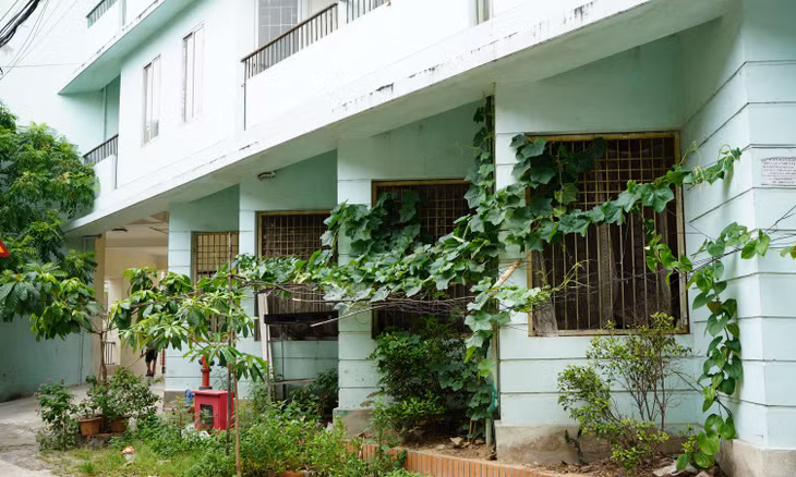 Người dân nơi đây tận dụng bãi đất trống dưới chân tòa nhà để trồng rau, dựng giàn mướp...