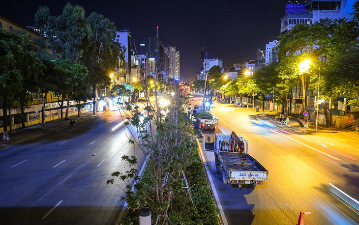 Trước đó, 262 cây phong lá đỏ được Thành phố trồng trên trục đường Nguyễn Chí Thanh - Trần Duy Hưng vào đầu năm 2018 với kỳ vọng sẽ mang sắc màu châu Âu vào giữa lòng Hà Nội. Tuy nhiên, việc trồng thử nghiệm không mang lại hiệu quả. Theo thống kê, 45 cây trong số này đã chết, 217 cây còn lại sinh trưởng kém, thường xuyên ghi nhận tình trạng héo lá; cành, nhánh khô và sâu bệnh.