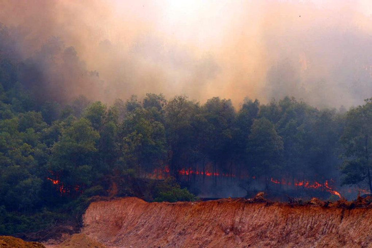 Rừng thông ở phường Phú Bài bốc cháy