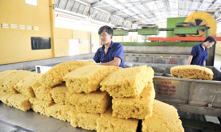 Việt Nam chi 2,2 tỷ USD nhập khẩu cao su. Ảnh minh họa