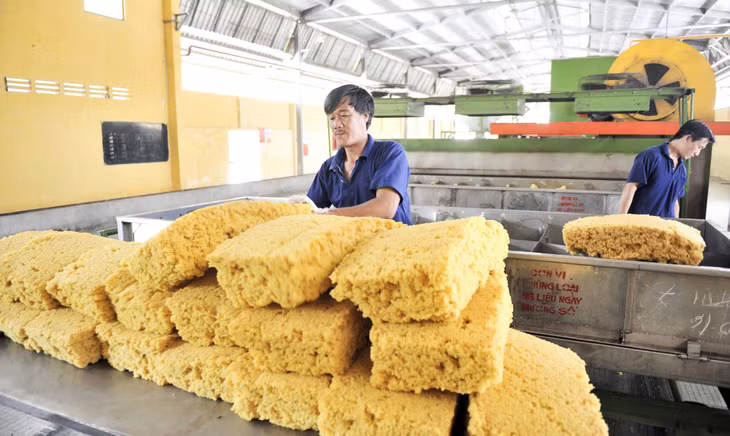 Việt Nam chi 2,2 tỷ USD nhập khẩu cao su. Ảnh minh họa