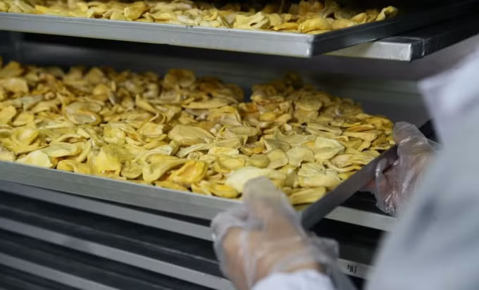 Sản phẩm mít sấy của Vinamit