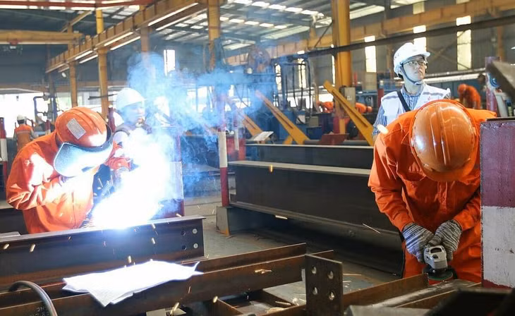 Nhà máy Đại Dũng ở Khu công nghiệp An Hạ (huyện Bình Chánh) hoạt động từ mùng 6 Tết