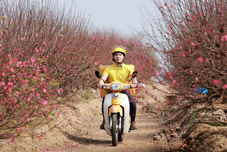 Tổng công ty Bưu điện Việt Nam đã chuyển phát thành công 8,65 triệu bưu gửi trong dịp Tết