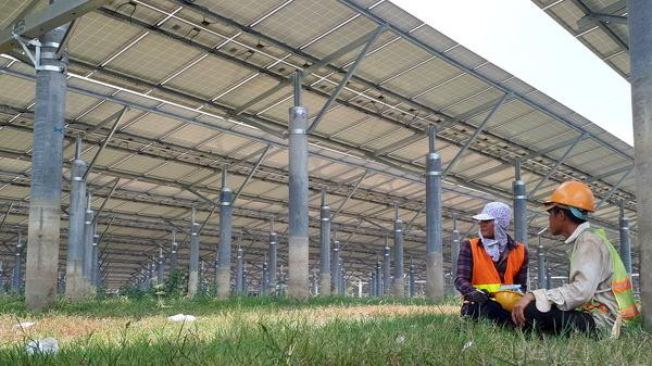 Dự án điện mặt trời Dầu Tiếng được giới thiệu là lớn nhất Đông Nam Á Dự án điện mặt trời Dầu Tiếng được giới thiệu là lớn nhất Đông Nam Á