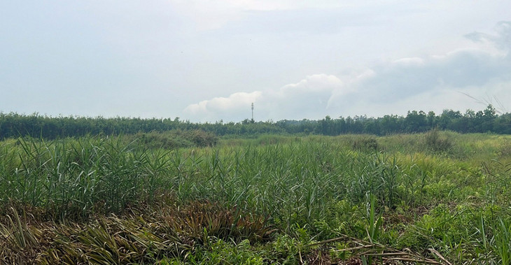 Khu vực sắp triển khai Dự án Vành đai 3 TP.HCM Khu vực sắp triển khai Dự án Vành đai 3 TP.HCM