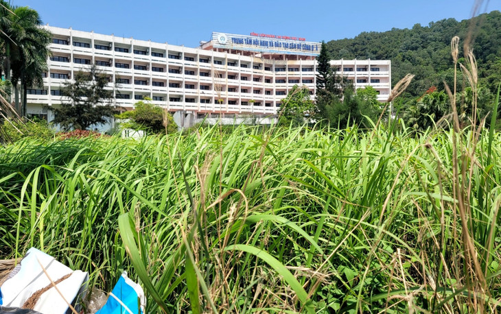 Trung tâm Hội nghị và Đào tạo cán bộ công đoàn thuộc Tổng liên đoàn Lao động Việt Nam nằm trên khu đất rộng 26.250 m2 tại Đồ Sơn bị bỏ hoang, cỏ mọc um tùm