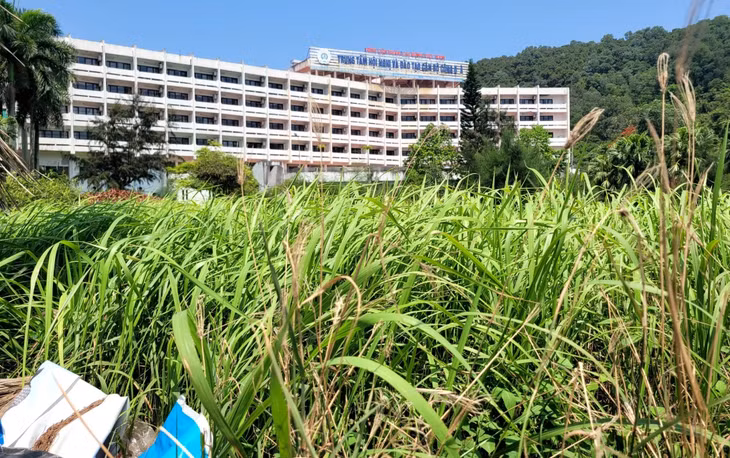 Trung tâm Hội nghị và Đào tạo cán bộ công đoàn thuộc Tổng liên đoàn Lao động Việt Nam nằm trên khu đất rộng 26.250 m2 tại Đồ Sơn bị bỏ hoang, cỏ mọc um tùm