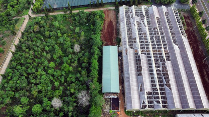 Dự án xây lắp nhà màng nông nghiệp tai tiếng tại Đồng Nai khiến nhiều cán bộ bị truy tố