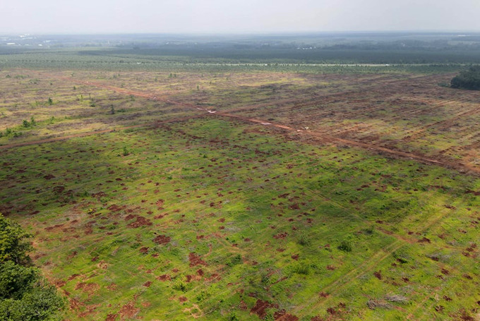 Khu vực mặt bằng xây sân bay Long Thành nhìn từ trên cao