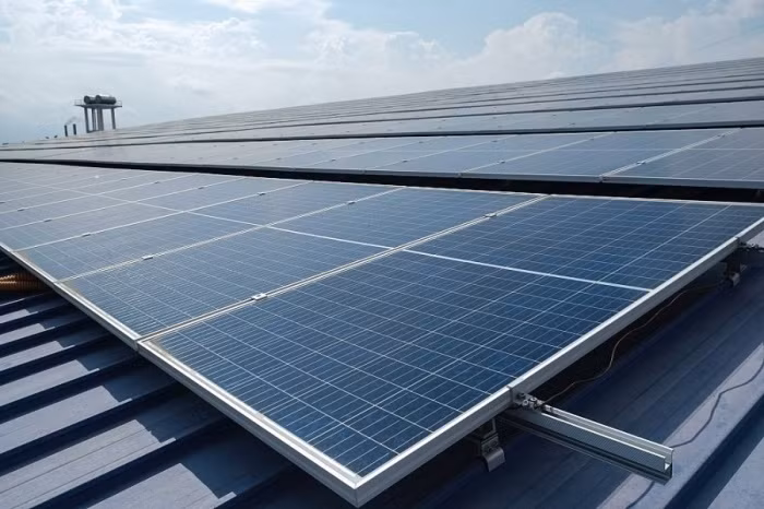 Dự án ĐMT phát triển rầm rộ tại khu vực tỉnh Ninh Thuận