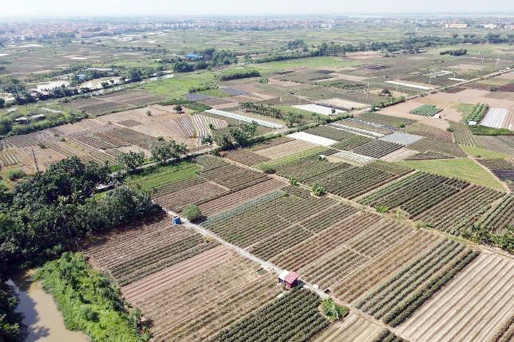 UBND huyện Mê Linh (Hà Nội) sẽ tổ chức đấu giá lần 3 đối với 19 lô đất tại thôn Chu Trần. Ảnh minh họa