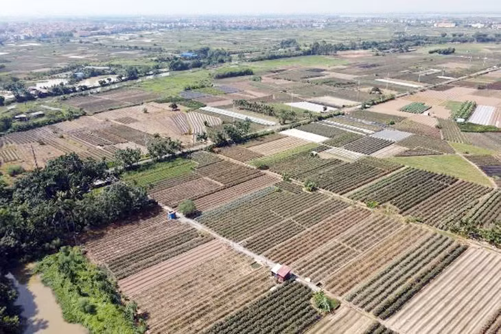 UBND huyện Mê Linh (Hà Nội) sẽ tổ chức đấu giá lần 3 đối với 19 lô đất tại thôn Chu Trần. Ảnh minh họa