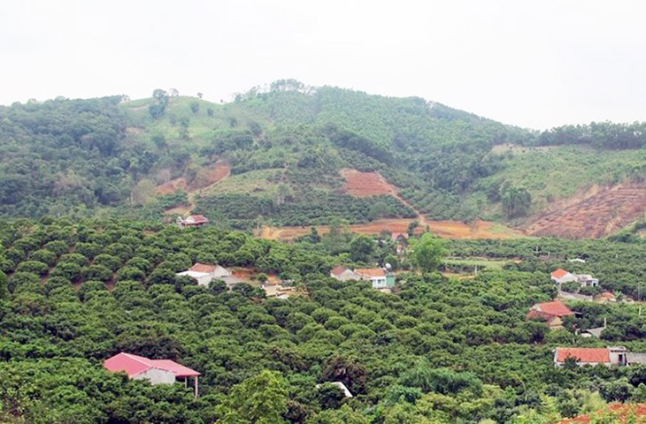 Do giảm gần 740ha rừng, tỉ lệ bao phủ rừng tại Bắc Giang giảm còn 37,8%