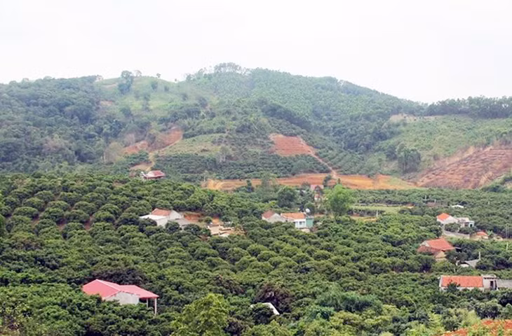 Do giảm gần 740ha rừng, tỉ lệ bao phủ rừng tại Bắc Giang giảm còn 37,8%