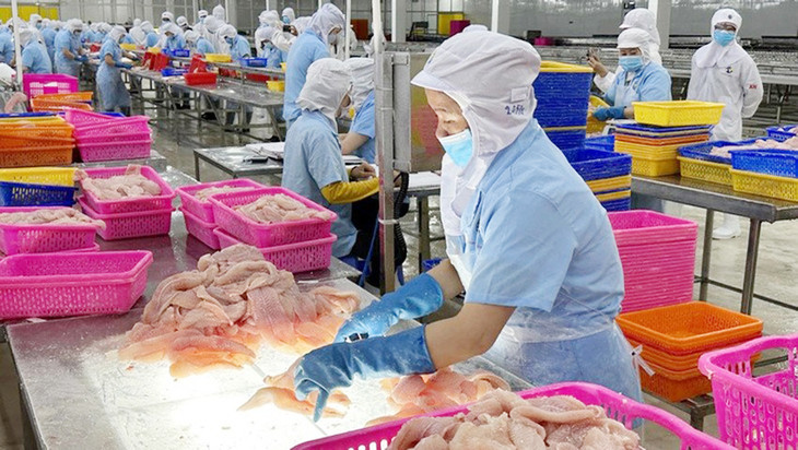 Cá tra Việt Nam xuất khẩu tăng trưởng 2 tháng đầu năm 2024 Cá tra Việt Nam xuất khẩu tăng trưởng 2 tháng đầu năm 2024