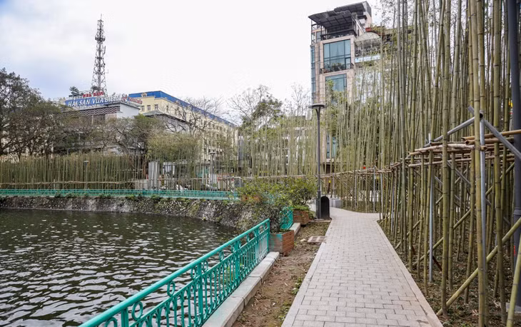 Một góc hồ Trúc Bạch sẽ được phủ xanh bởi trúc sào trong tương lai