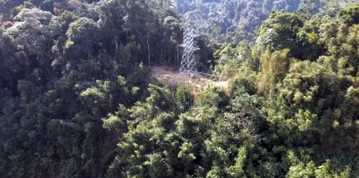 Nhìn từ trên cao, một khoảnh rừng bị phá nát để làm trụ điện