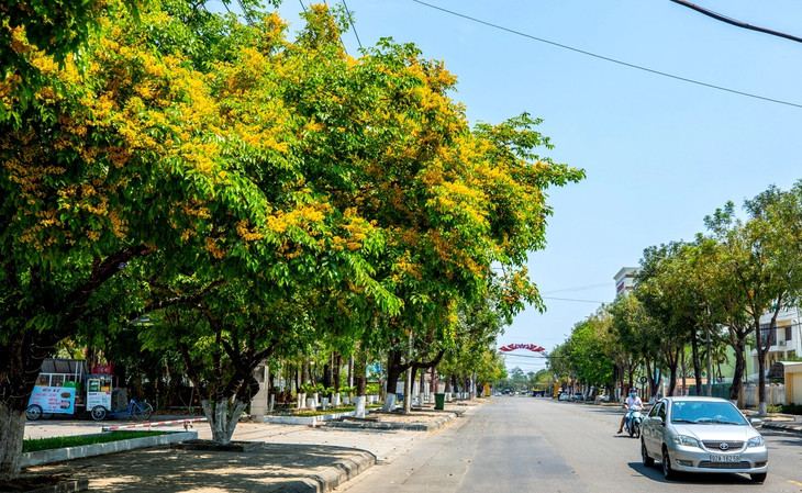 Bộ Công an yêu cầu tỉnh Quảng Nam cung cấp các dự án trồng và chăm sóc cây xanh trên địa bàn từ năm 2019 đến nay
