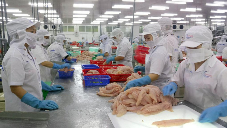 98% doanh nghiệp ở Cần Thơ ngưng hoạt động do ảnh hưởng Covid-19