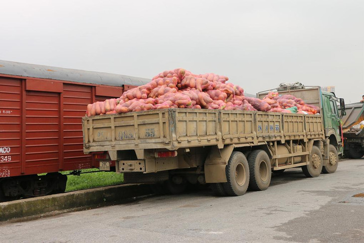 Rau củ quả của người dân Hòa Bình được tập kết tại ga Giáp Bát Rau củ quả của người dân Hòa Bình được tập kết tại ga Giáp Bát