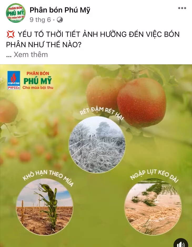 PVFCCo tăng cường các kênh online như hotline, email, website, Zalo, Facebook, youtube… nhằm hướng dẫn bà con kỹ thuật sử dụng phân bón, chăm sóc cây trồng