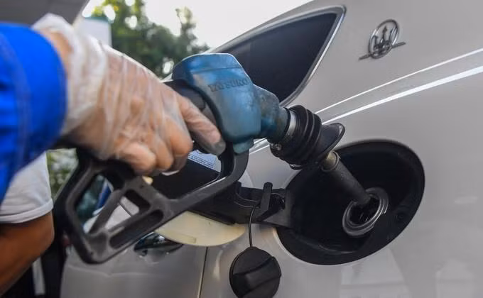 5 doanh nghiệp đầu mối vừa bị tước giấy phép một tháng