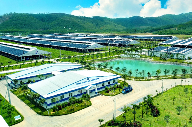 Trang trại tại Quảng Ngãi là 1 trong 3 trang trại thuộc hệ thống trang trại sinh thái Green farm của Vinamilk Trang trại tại Quảng Ngãi là 1 trong 3 trang trại thuộc hệ thống trang trại sinh thái Green farm của Vinamilk