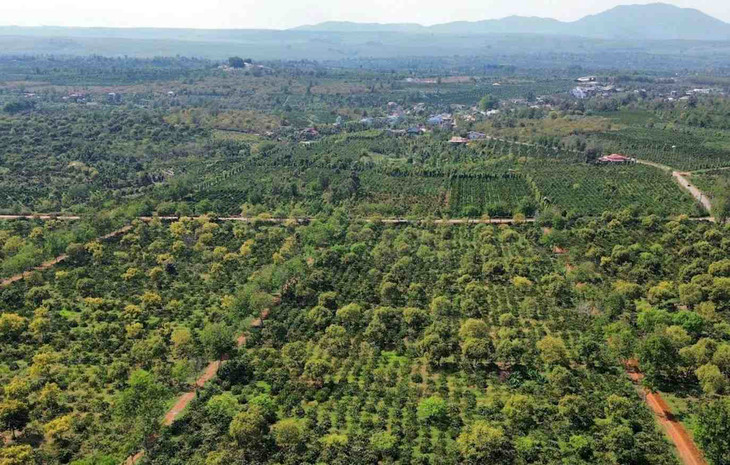 Dự án Trang trại chăn nuôi công nghệ cao khép kín được triển khai tại huyện Đắk Mil, tỉnh Đắk Nông