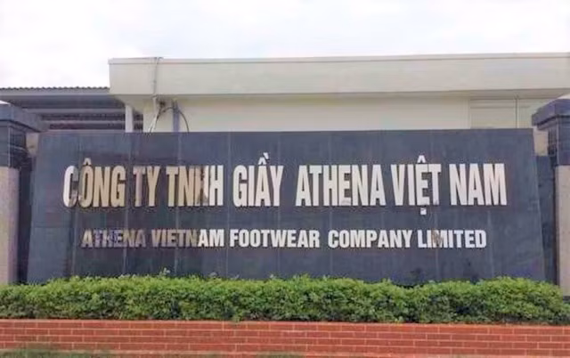 Công ty TNHH Giầy Athena Việt Nam - chi nhánh Nga Sơn bị xử phạt 300 triệu đồng vì xả thải vượt quy chuẩn.