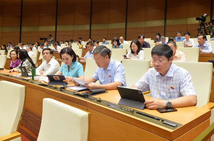 Các đại biểu Quốc hội tại phiên họp