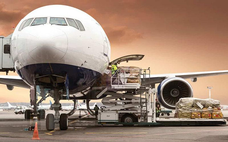 Chính phủ yêu cầu báo cáo về hãng bay chở hàng IPP Air Cargo trước ngày 15/7