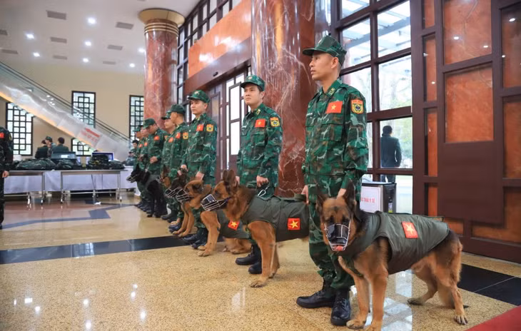 Đội chó nghiệp vụ tìm kiếm cứu nạn thuộc Bộ Tư lệnh Bộ đội Biên phòng với 9 huấn luyện viên và chỉ huy, 6 chó nghiệp vụ tham gia cứu hộ tại Thổ Nhĩ Kỳ Đội chó nghiệp vụ tìm kiếm cứu nạn thuộc Bộ Tư lệnh Bộ đội Biên phòng với 9 huấn luyện viên và chỉ huy, 6 chó nghiệp vụ tham gia cứu hộ tại Thổ Nhĩ Kỳ