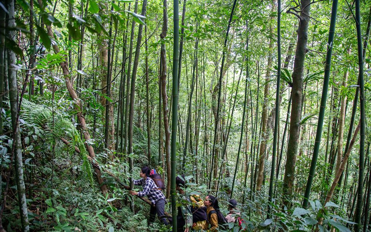 Người dân thôn Hồ, xã Hướng Sơn, huyện Hướng Hóa, tỉnh Quảng Trị tuần tra bảo vệ rừng cộng đồng