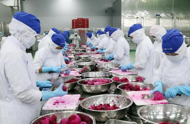 Lần đầu tiên Long An thu ngân sách vượt mốc 20.000 tỷ đồng