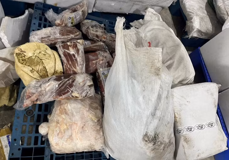 Số thịt động vật không có hóa đơn chứng từ, đã bốc mùi hôi Số thịt động vật không có hóa đơn chứng từ, đã bốc mùi hôi