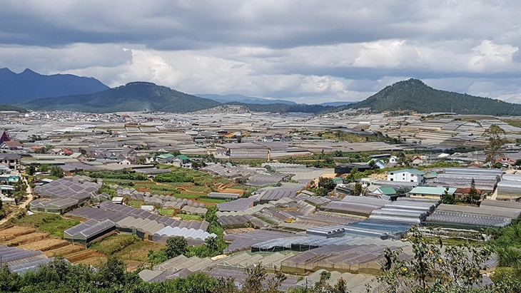 Từ nay đến năm 2030 sẽ giảm dần, tiến tới không còn nhà kính tại khu vực nội ô, khu dân cư trên địa bàn TP. Đà Lạt